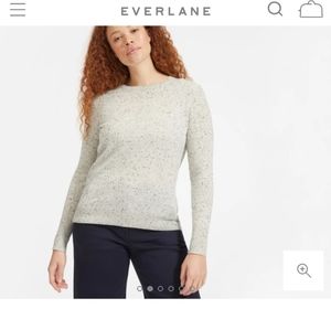 Everlane Donegal Crewneck Sweater